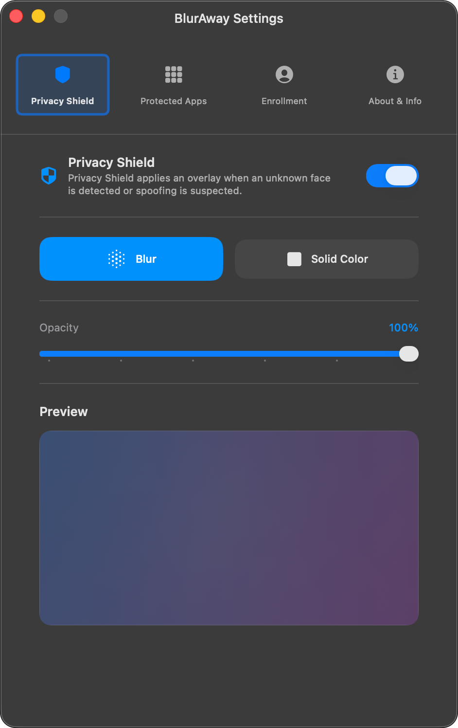 Privacy shield illustration